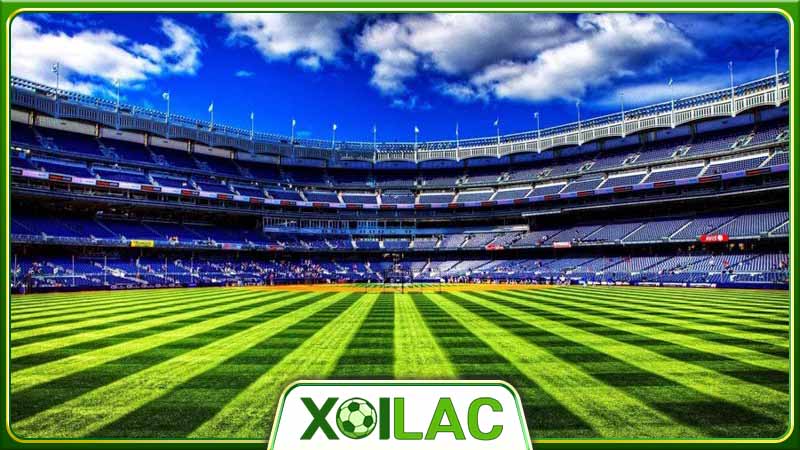 Xoilac TV - Địa chỉ xem bóng đá trực tiếp chất lượng, miễn phí